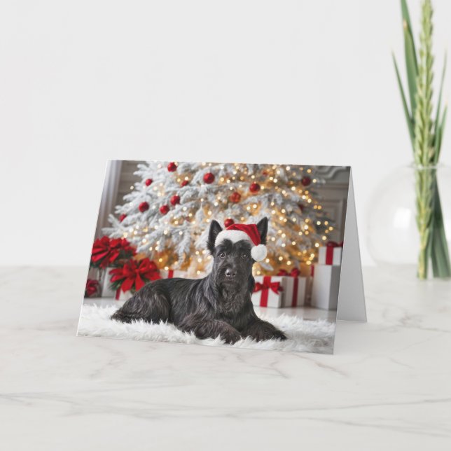 Carte Tervueren Noël (Devant)