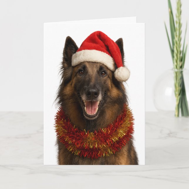 Carte Tervuren in a Santa hat Christmas card (Devant)