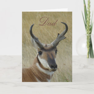 Carte Tête de cerf antilope A5 touchée