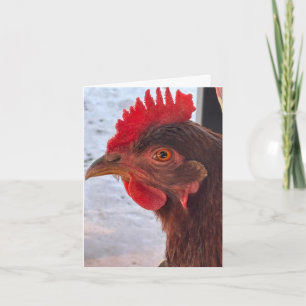 Carte Tête de poulet vue de près à l'intérieur vide Eye