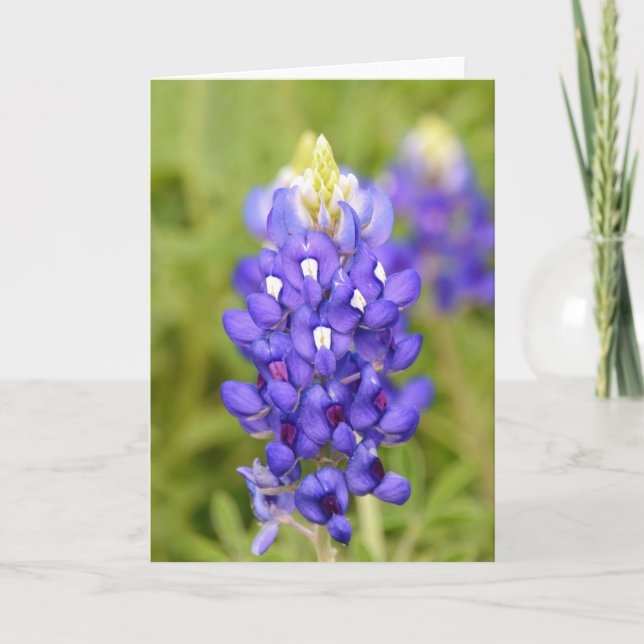Carte Texas Bluebonnet Flower Close Portrait Art Card (Devant)