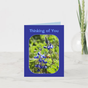 Carte Texas Bluebonnets Penser à vous