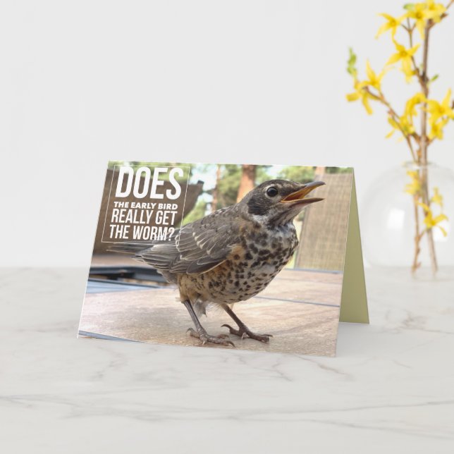 Carte Texte de couverture amusant Photo d'oiseau Message (Fleur jaune)