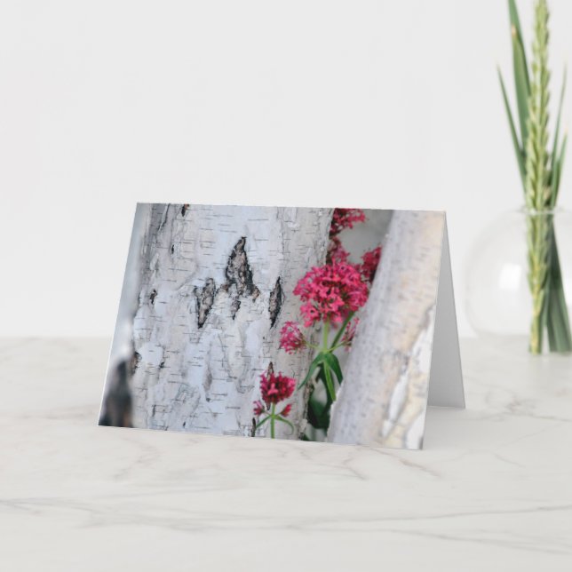 Carte Texture de l'écorce de bouleau (Devant)