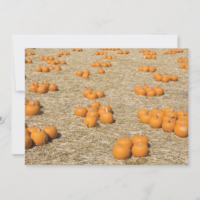 Carte Thanksgiving 7x5 (Devant)