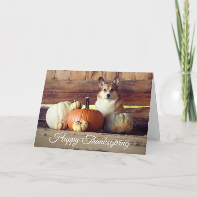 Carte Thanksgiving Corgi (Devant)