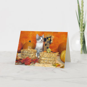 Carte Thanksgiving de la côtelette de porc - Chat