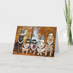 Carte Thanksgiving personnalisable Funny Chien Pil