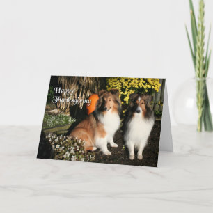 Carte Thanksgiving pour Friends
