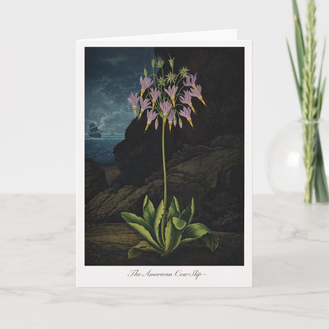 Carte The American Cow-Slip — Modern Botanical Reinterpr (Devant)