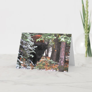 Carte The Beauty of Chisana