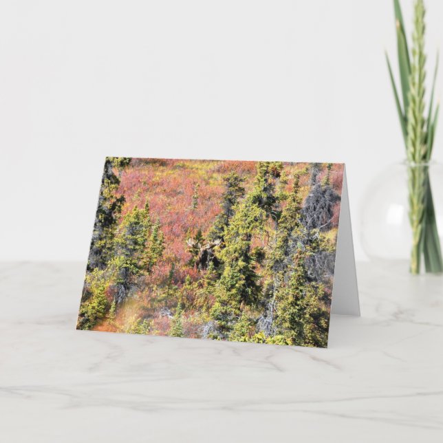 Carte The Beauty of Chisana (Devant)