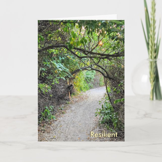 Carte The Busy Busy Bee Collection – Resilient Card (Devant)