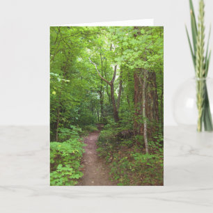Carte The Enchanted Forest