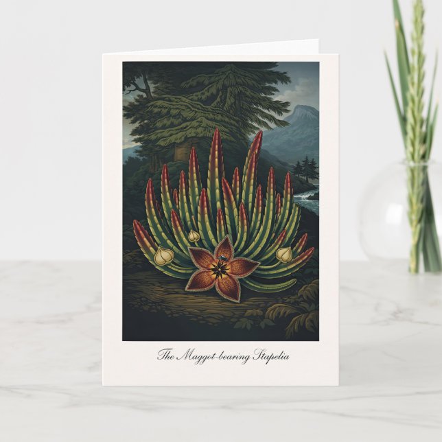 Carte The Maggot-Bearing Stapelia — Modern Botanical Rei (Devant)