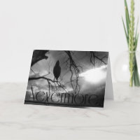 The Raven - Nevermore Sunbeams & Tree B&W