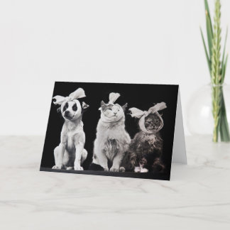 Carte The Sad Trio, Blank Inside