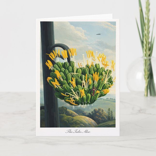 Carte The Tube Aloe — Modern Botanical Reinterpretation (Devant)