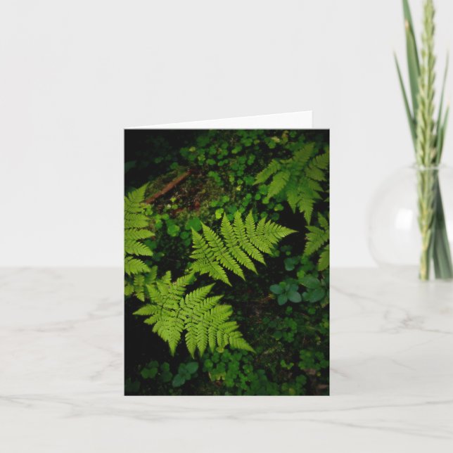 Carte Thème de nature sombre vert foncé avec fougères (Devant)