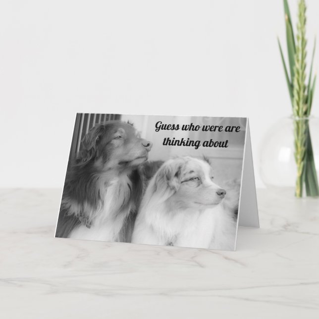 CARTE THESE 2 **BEAUTIES** SAY "HAPPY BIRTHDAY" TO "YOU! (Devant)