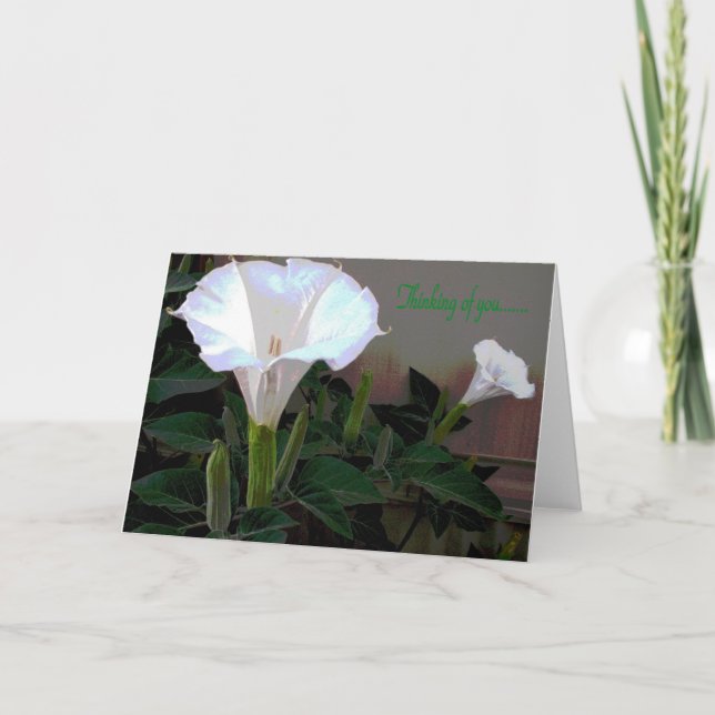 Carte Thinking of you (Devant)