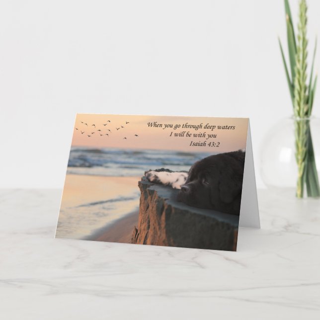 Carte Thinking of you card (blank) (Devant)