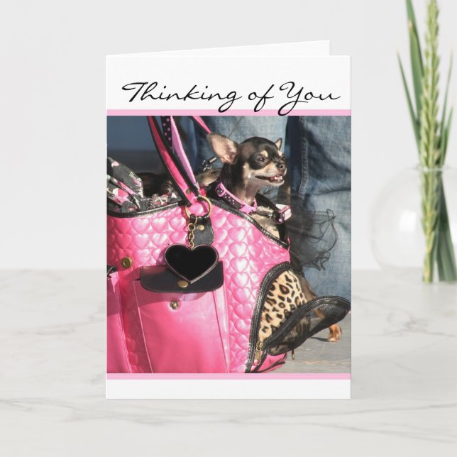 Carte Thinking of you Chihuahua (Devant)