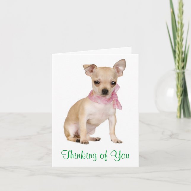 Carte Thinking of  You Chihuahua Puppy Dog Greeting Card (Devant)