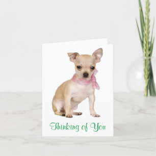Carte Thinking of  You Chihuahua Puppy Dog Greeting Card