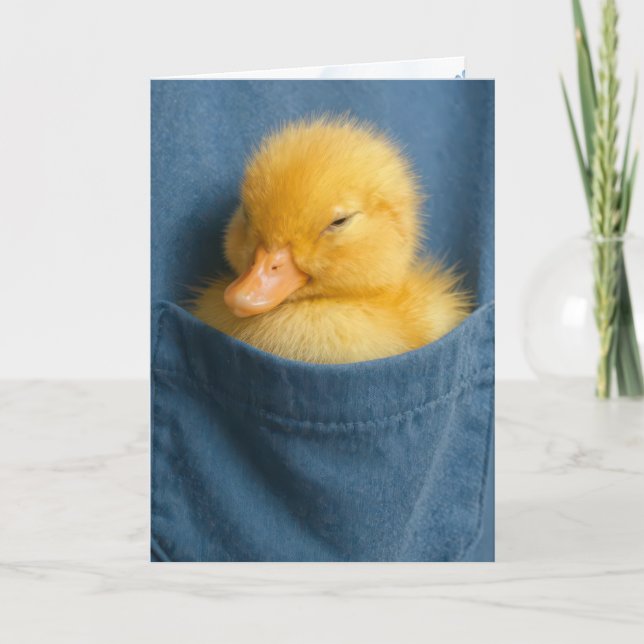 Carte Thinking of You Duckling In a Blue T-shirt Pocket (Devant)