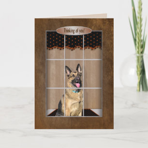 Carte Thinking of you - German Shepherd - Window