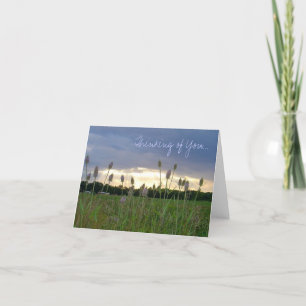 Carte 'Thinking of You' photo notecard