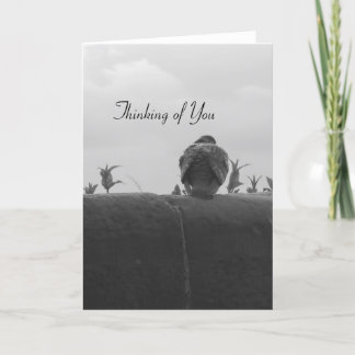 Carte Thinking of You Pigeon