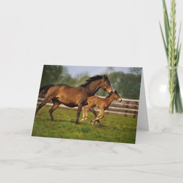 Carte Thoroughbred Chestnut Mare & Foal (Devant)