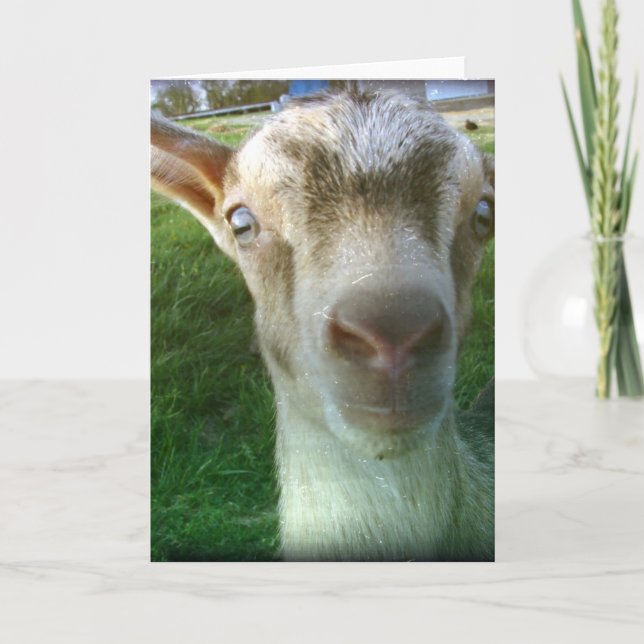 Carte Thunder (Devant)