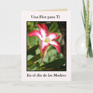Carte Ti de Dia de Las Madres Una Flor Para