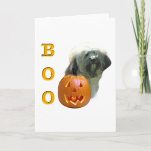 Carte Tibétain Terrier Boo