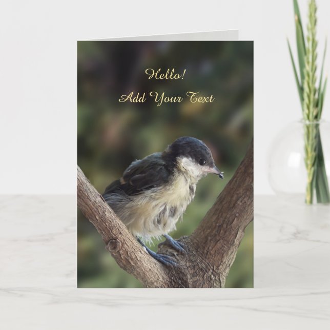 Carte Tidi my Bird le Parus Major (Devant)