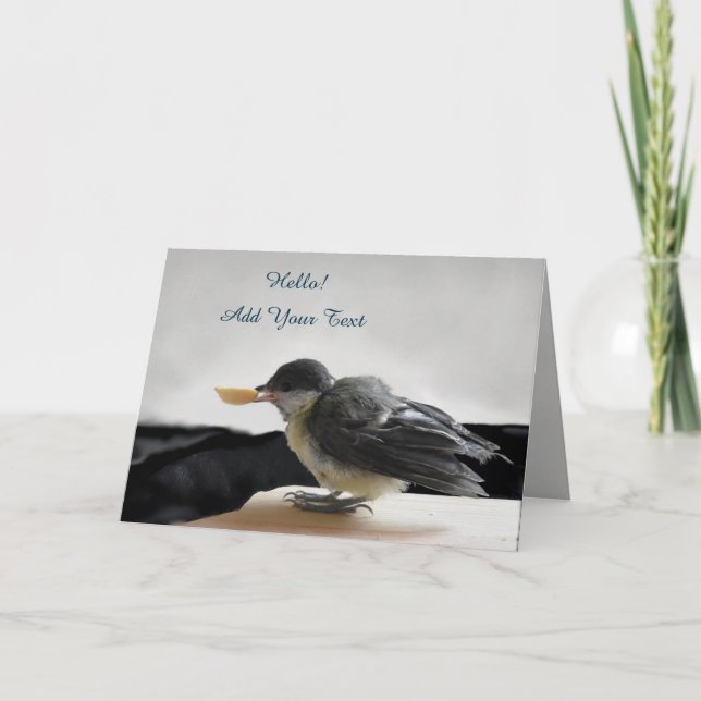 Carte Tidi my Bird le Parus Major (Devant)