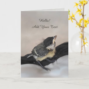 Carte Tidi my Bird le Parus Major