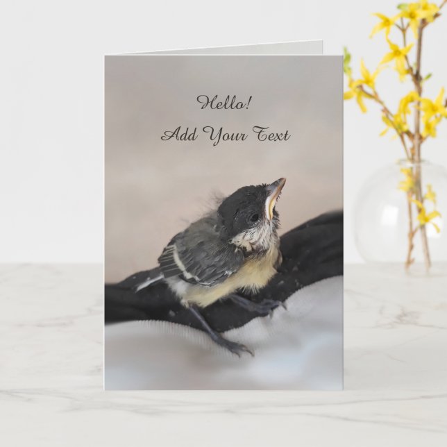 Carte Tidi my Bird le Parus Major (Fleur jaune)