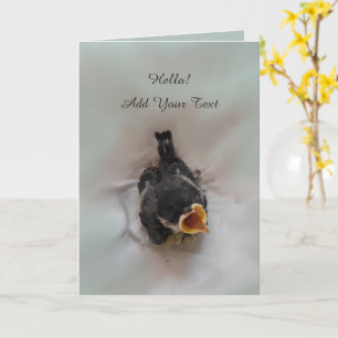 Carte Tidi my Bird le Parus Major