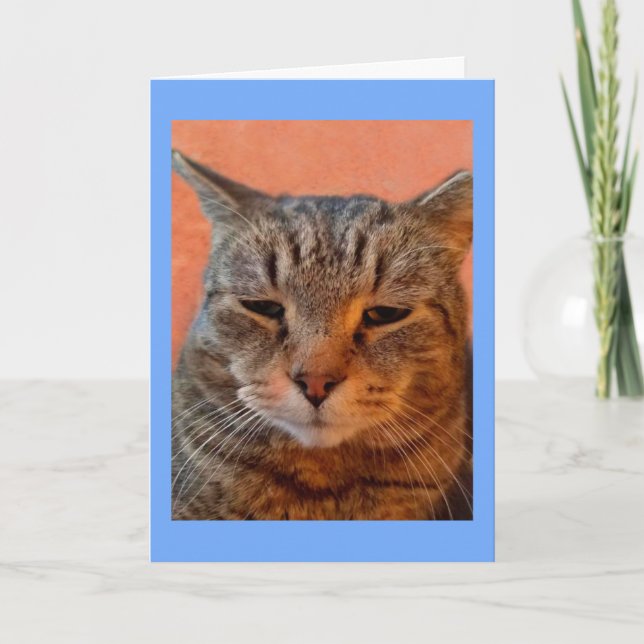 Carte Tiger Chat Miss You (Devant)