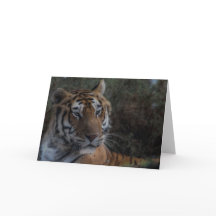 Tiger Greeting Card-Tarjeta Tigre félicitation