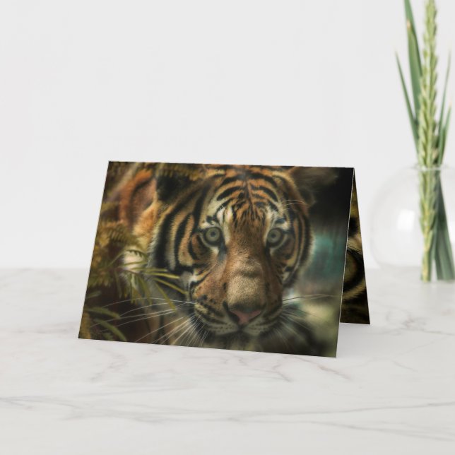 CARTE TIGER GROUPE ZÉRO (Devant)