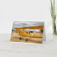 Tiger Moth 80Th Anniversary Fly-in