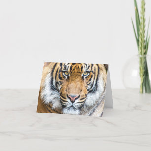 Carte Tiger Nom personnalisé Joyeux anniversaire