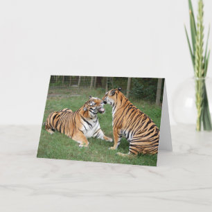 Carte TigerFriends 007