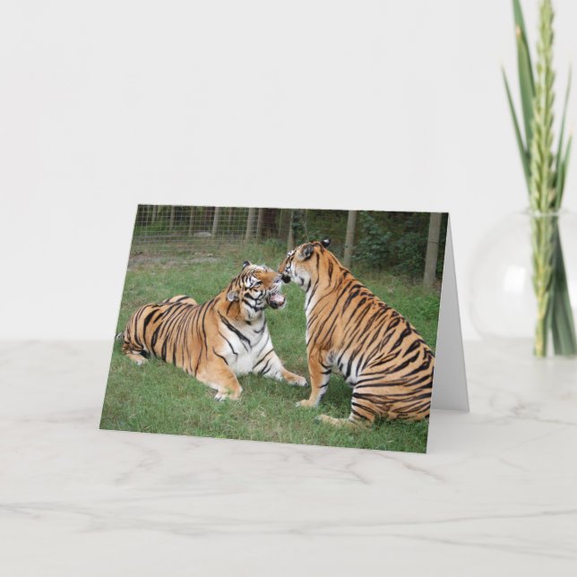 Carte TigerFriends 007 (Devant)
