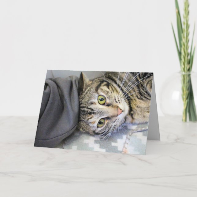 Carte Tigre (Devant)